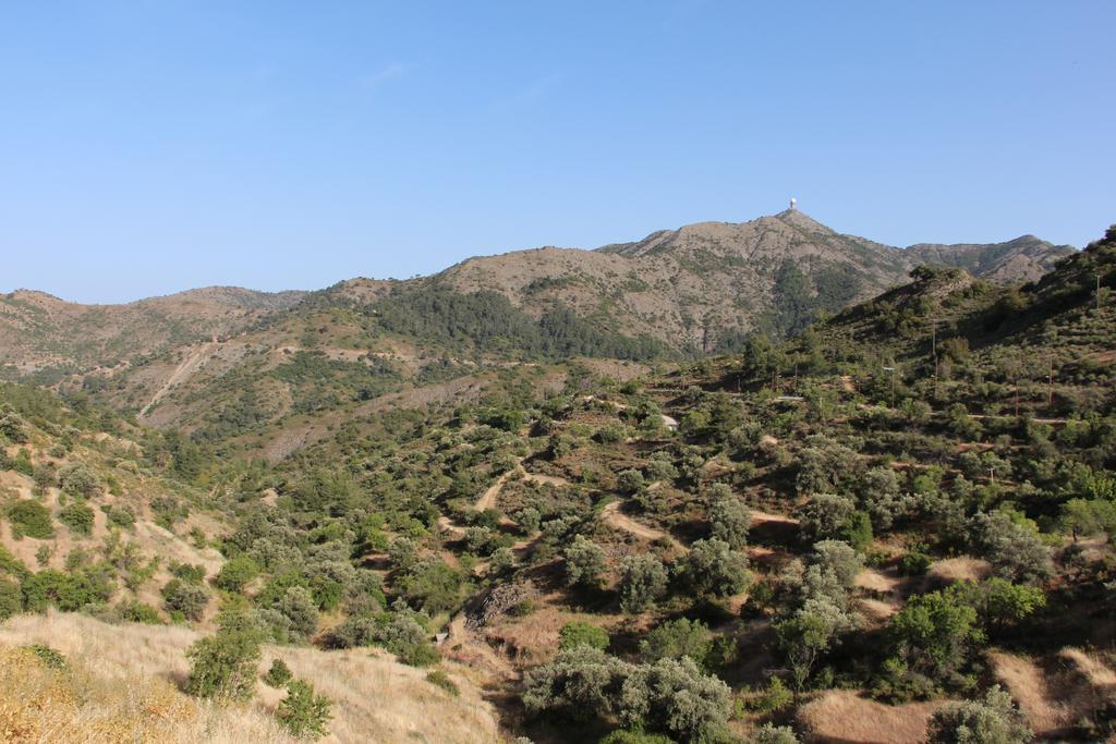 Hatzikyprianou Museum Studio Lazania Pokój zdjęcie